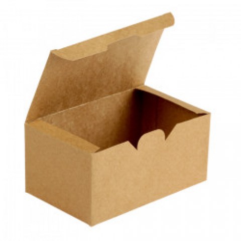 ECO FAST FOOD BOX-2